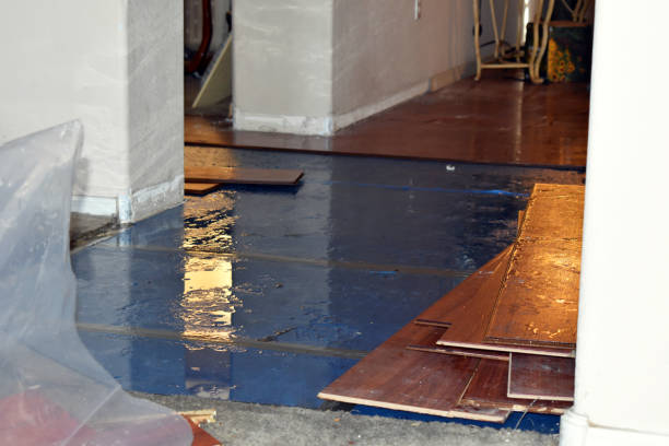 Professional Basement Flood Cleanup technician working in Oaks, PA